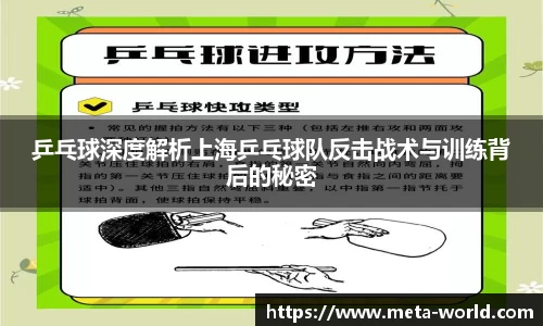乒乓球深度解析上海乒乓球队反击战术与训练背后的秘密